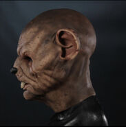 Image from Immortal Masks