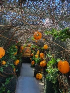 20210930 114732.jpg (4.74 MB) Image from HHNManics