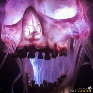 Image from Westcoaster.net