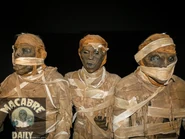 Image from MacabreDaily