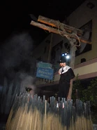 Image from shaebay on Flickr