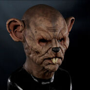 Image from Immortal Masks