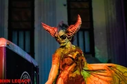 Image from HHN Legacy
