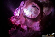 Image from Westcoaster.net