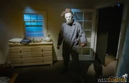 Image from Westcoaster.com