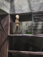 20210929 093648.jpg (1.94 MB)