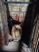 20210929 092636.jpg (3.39 MB)