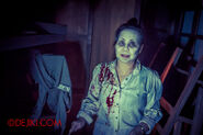 Image from Dejiki.com