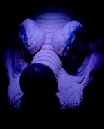 683AB369-29ED-4DF4-9086-2DA9403DCAF0.jpeg (728 KB) Image from hauntedskeleton on Instagram