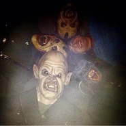 Image from ash_nalbandyan on Instagram