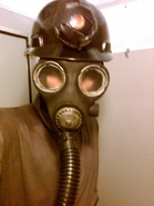 Image from Francisco Ponce on Flickr