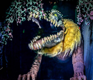 Crocolion