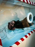 Image from ExploringAttraction on Twitter