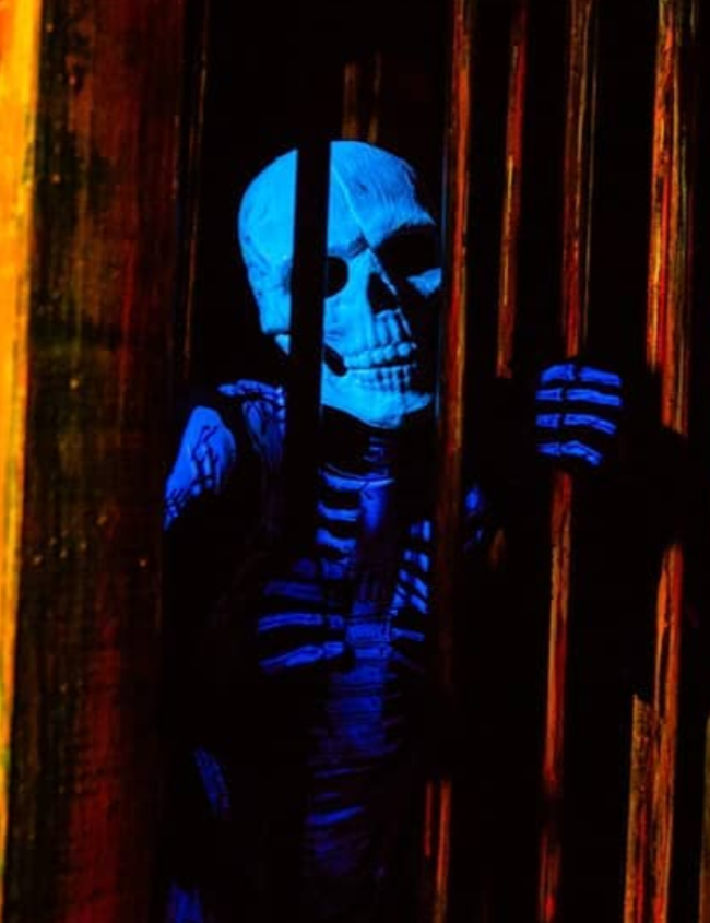 Skeletons Halloween Horror Nights Wiki Fandom Skeletons Halloween Horror Nights Wiki Fandom