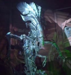 Halloween #horror #aliens #alien #predator #alienvspredator #duel