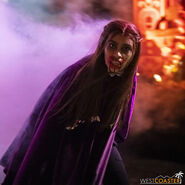 Image from Westcoaster.com