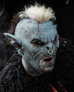 Image from tylerhaunt on Instagram