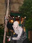 The Sentinel in the Port of Evil (2003).