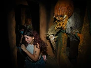 Image from Universal Orlando Resort