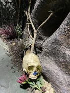 Image from HorrorUnearthed
