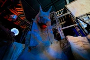 Image from Orlando Informer