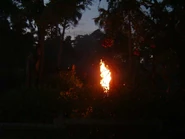 Image from the now defunct IOACentral.com