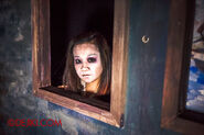 Image from Dejiki.com