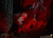 Image from Westcoaster.com
