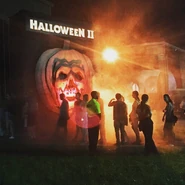 Image from L.D. Franklin