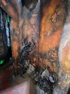 Image from HorrorUnearthed