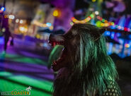 Image from Westcoaster.com