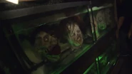 Image from Universal Orlando Resort