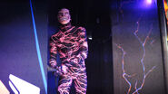 [Picture From The Dis]