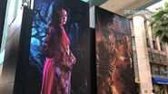 Haunting of Oiwa & Cannibal Signages [Image from Dejiki.com]