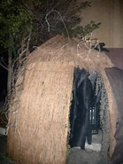 Image from shaebay on Flickr