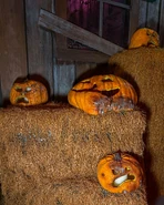 Image from Universal Horror Unleashed