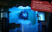 The rest of the images are from the Halloween Horror Nights: Twenty Years of Fear website.