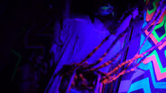 [Picture From The Dis]