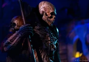 Image from Go For Show Photography