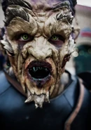 Image from @piersonjamez on Instagram