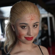 Image from schneider.cos on Instagram