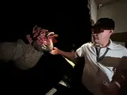 Image from themeparkduo on Twitter