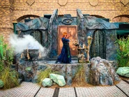 Image from Orlando Informer on Twitter