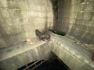 Image from HorrorUnearthed