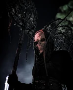 Image from boblesstormphotography on Instagram