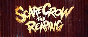 Uhu-scarecrow-the-reaping-traditional-texture-a