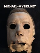 The Shape mask In 2017