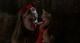 Kats