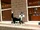 Sylvester the Cat