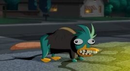 Halloween Perry